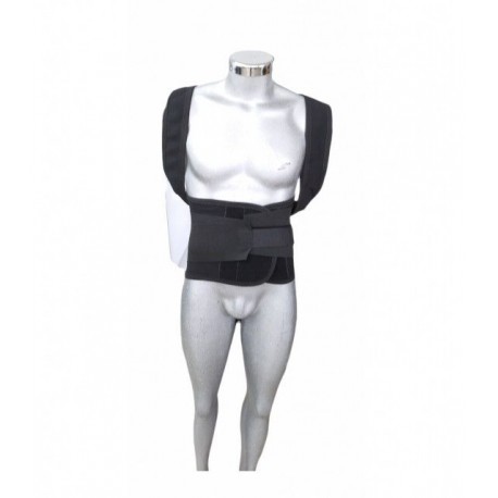 Faja Dorso Lumbar para Hombre con Barillas