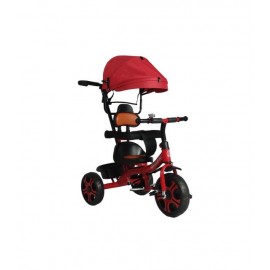 Triciclo para Niños Infantil Con Canasto,Toldo y Baston